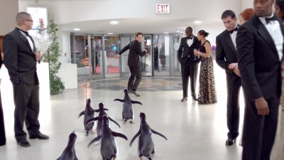 penguins-still10.jpg